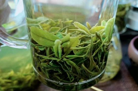 什么綠茶味道濃香，那個(gè)綠茶比較濃香？