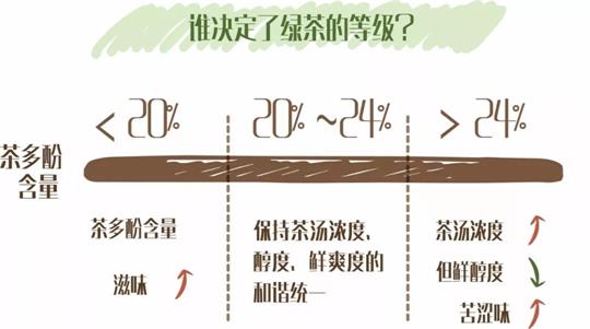 什么綠茶口味重口感濃郁，口味比較重的綠茶都有那些？