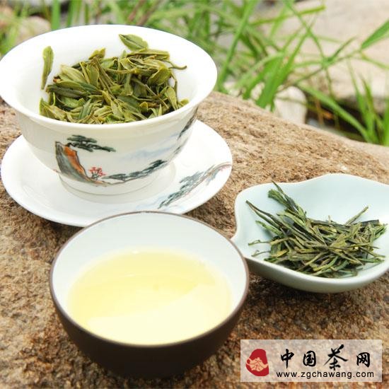 決明枸菊茶 