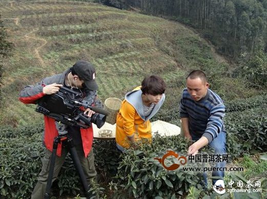 四川電視臺(tái)《吃八方》欄目攝制組走進(jìn)茶祖故里名山