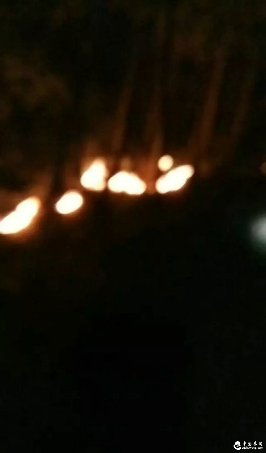 彎弓火災明火已滅，受災茶園上千畝！彎弓寨盧隊長播報最新狀況