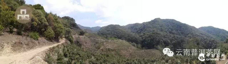 2015云南茶山全程實(shí)錄 千里足跡