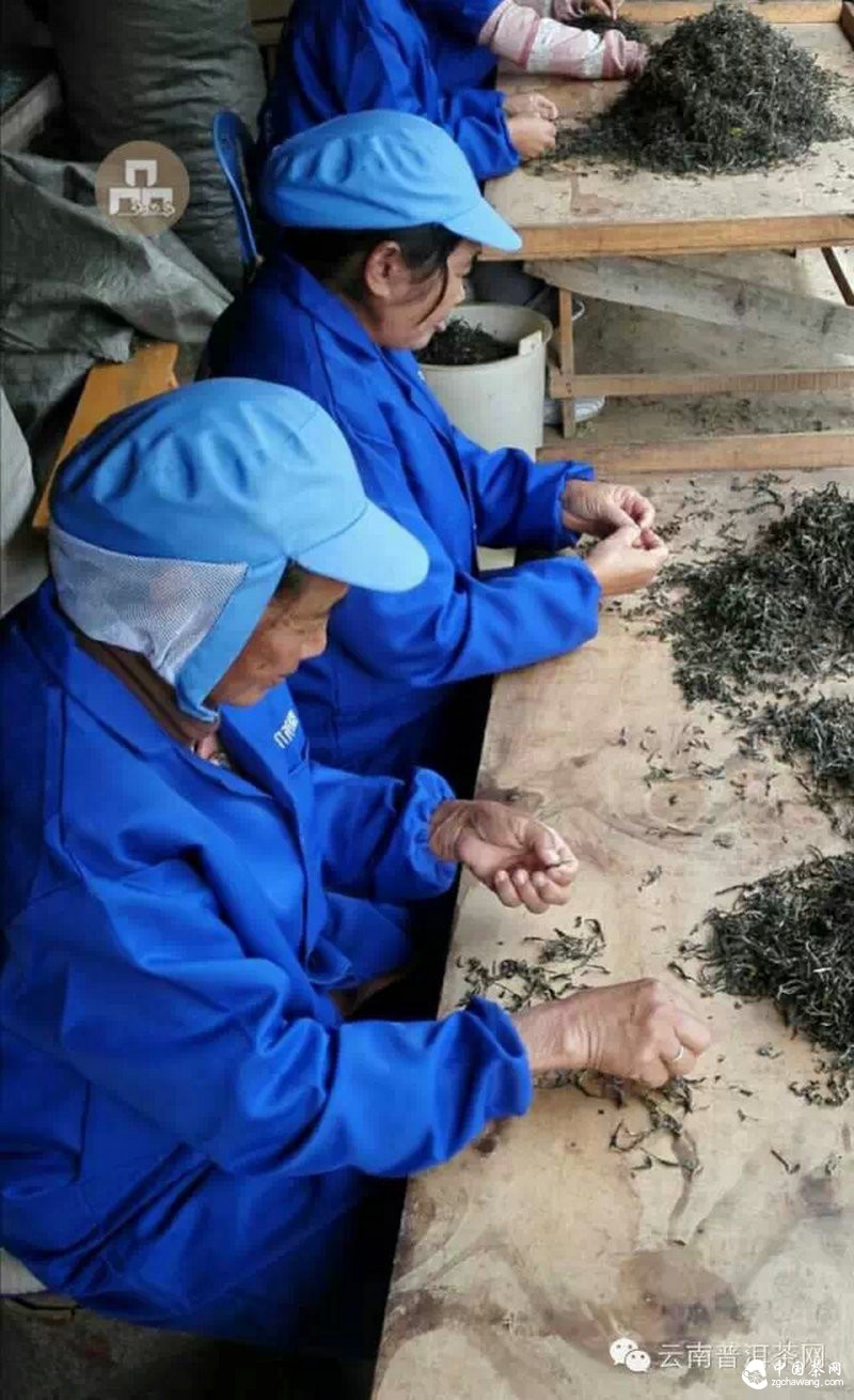 2015云南茶山全程實(shí)錄 千里足跡