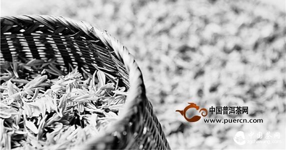 杭州龍塢茶農(nóng)：雨前西湖龍井茶也還是不錯(cuò)的