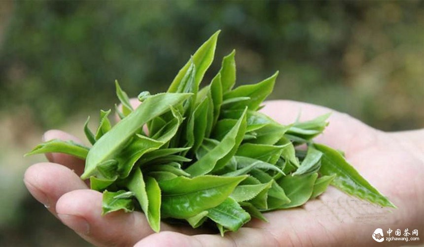 茶行業(yè)洗牌階段，茶企該以何立足？