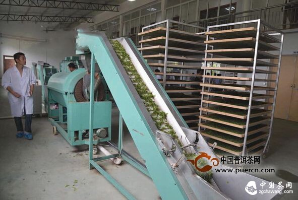 新昌茶農(nóng)建起茶葉全產(chǎn)業(yè)鏈 "跑"贏茶業(yè)轉(zhuǎn)型升級路