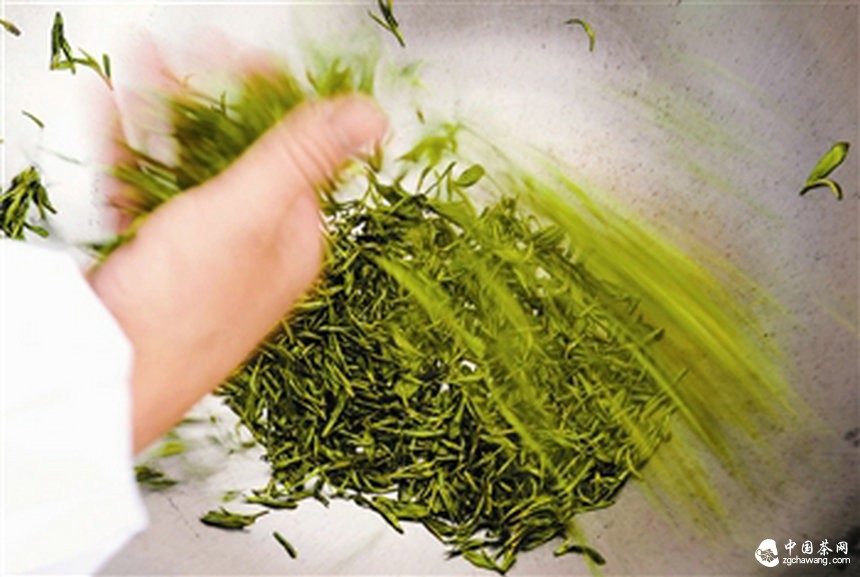 炒茶:心手合一香滿堂