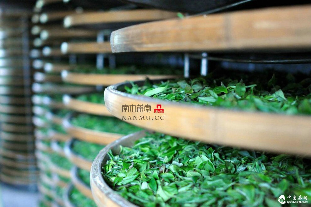 如約&mdash;&mdash;相愛  穿梭在漫漫茶路上