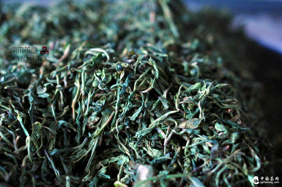 如約&mdash;&mdash;相愛  穿梭在漫漫茶路上