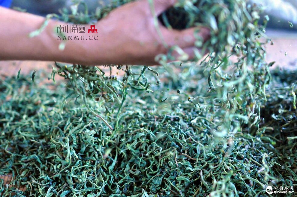 如約&mdash;&mdash;相愛  穿梭在漫漫茶路上