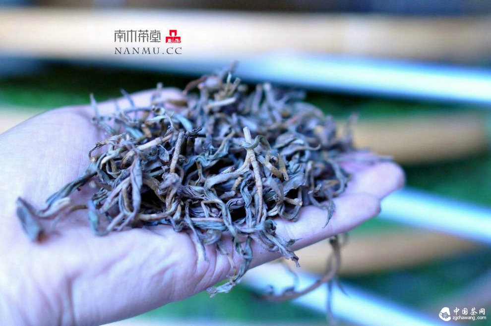 如約&mdash;&mdash;相愛  穿梭在漫漫茶路上
