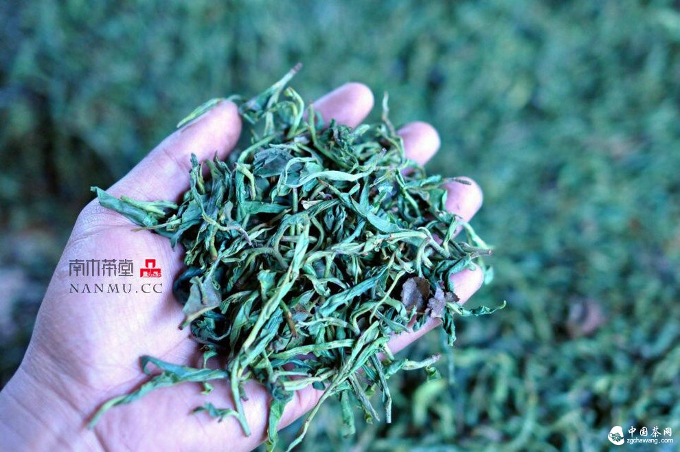 如約&mdash;&mdash;相愛  穿梭在漫漫茶路上