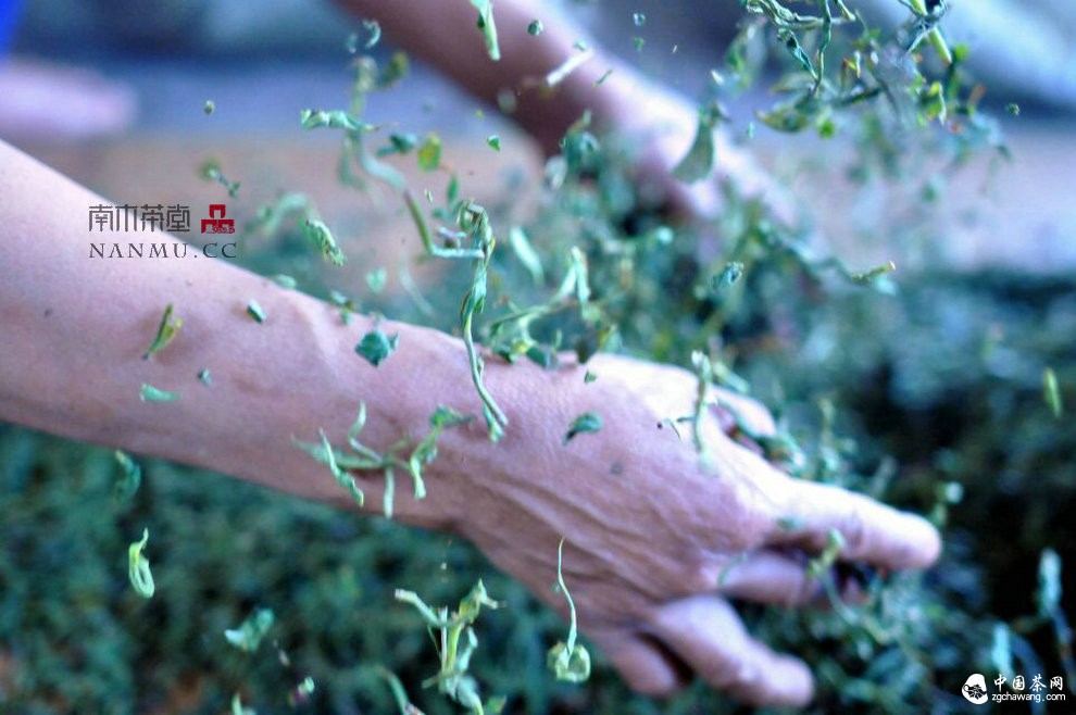 如約&mdash;&mdash;相愛  穿梭在漫漫茶路上
