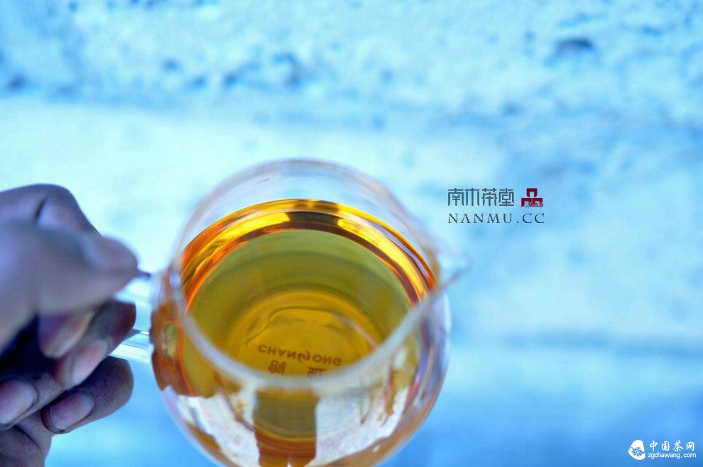 如約&mdash;&mdash;相愛  穿梭在漫漫茶路上