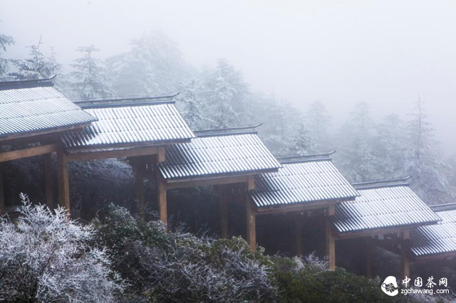 峨眉山景色
