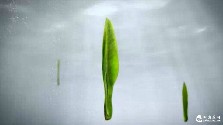 中國茶企首次1分鐘巨獻 竹葉青榮登央視熒屏