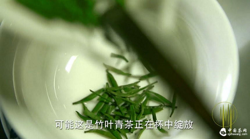 中國茶企首次1分鐘巨獻 竹葉青榮登央視熒屏