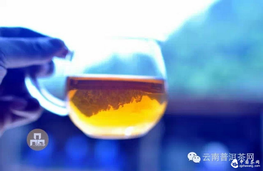 古樹紅茶采摘、加工、沖泡