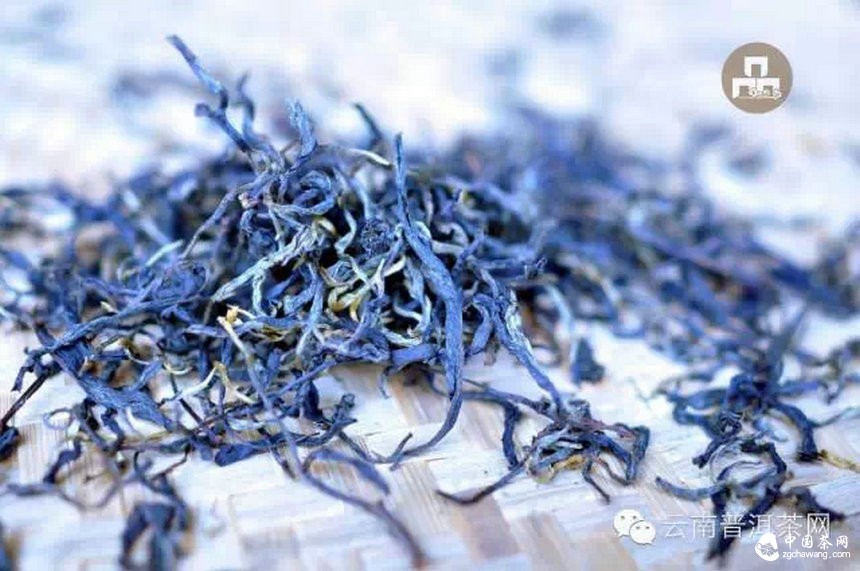 古樹紅茶采摘、加工、沖泡