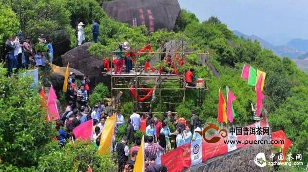 百萬鳳凰單叢的背后說明了什么？