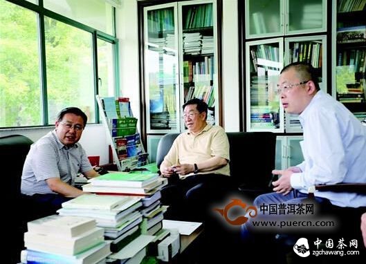 中國工程院院士陳宗懋為宜昌茶產(chǎn)業(yè)把脈