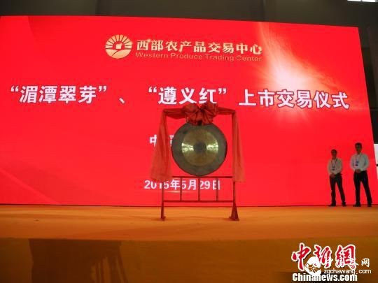 推茶旅一體化 中國(貴州&middot;遵義)國際茶文化節(jié)舉行