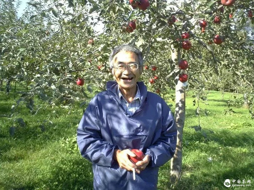 為什么說(shuō)古樹(shù)茶是最寶貴的資源？