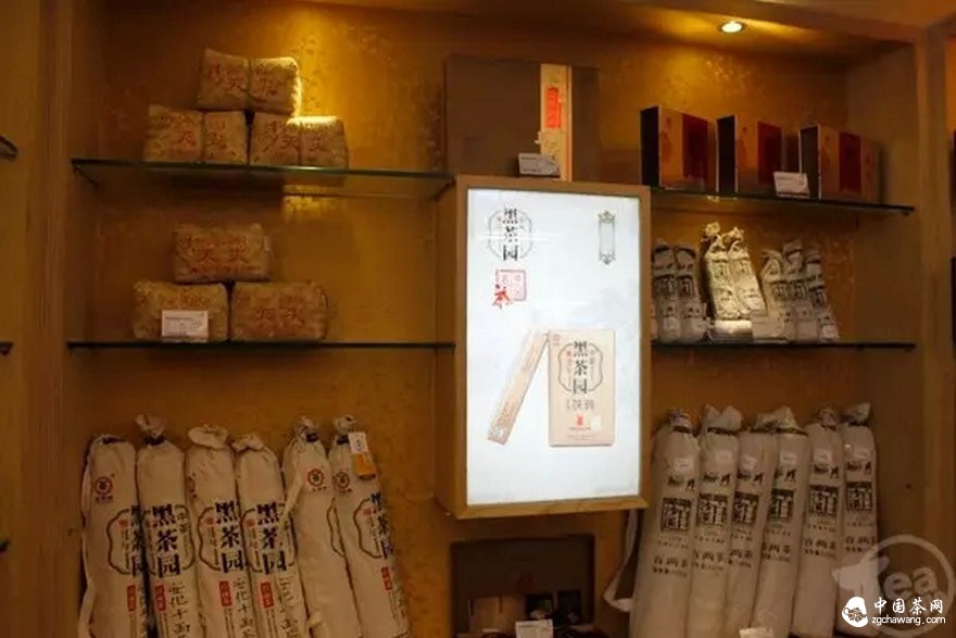 黑茶標準化：東莞茶商收茶有了價值參照