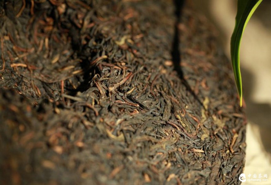 普洱茶投資分析：當(dāng)前市場(chǎng)環(huán)境適合做長(zhǎng)線