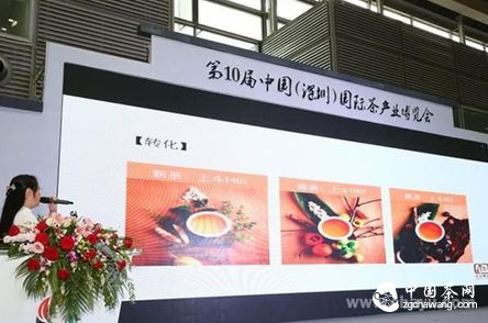 (通過具體圖片展示斗記普洱不同時期的不同轉(zhuǎn)化特點)