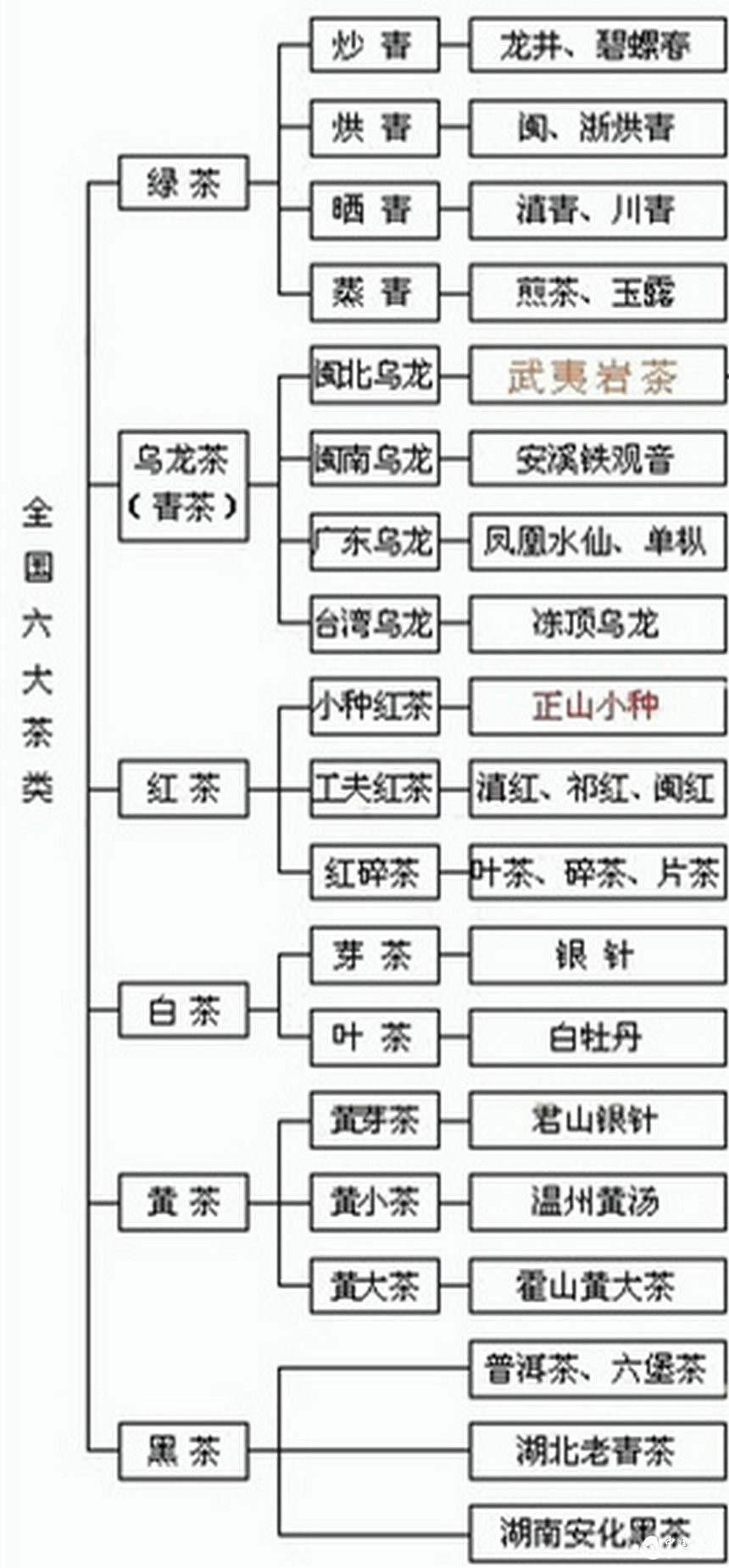 假如普洱茶的是個蘿卜