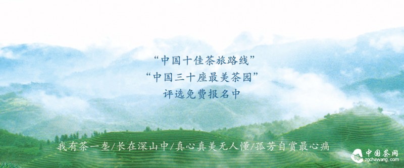 中國十佳茶旅路線
