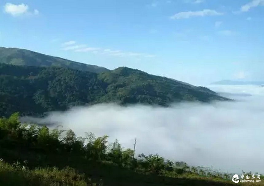 資金塑造了口感思維 莫讓宣傳成為全部