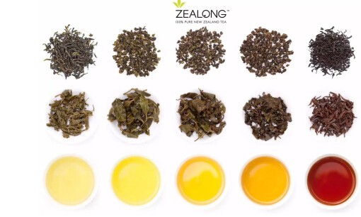 Zealong茶攜手新西蘭第一咖啡品牌