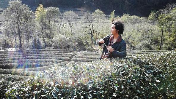 歌手田間作曲受追捧 《尋茶到黃村》唱夷巖茶山