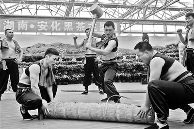 本報(bào)訊安化&ldquo;千兩茶&rdquo;制作、斗茶比賽、茶歌茶舞&hellip;&hellip;昨天上午，農(nóng)業(yè)嘉年華迎來了安化黑茶主題推廣日，不少&ldquo;茶迷&rdquo;冒雨趕來，現(xiàn)場學(xué)做迷你&ldquo;千兩茶&rdquo;。