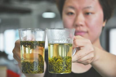 左為低價南方茶，顏色渾濁；右為日照綠茶，顏色清澈。