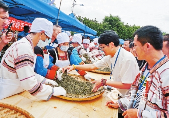 近日，景洪市基諾山鄉(xiāng)大鼓民族文化廣場茶香四溢，熱鬧非凡，2016攸樂古茶文化節(jié)在這里舉行。參賽茶農(nóng)選手專注地翻炒茶葉鮮葉，進(jìn)行傳統(tǒng)手工制茶技藝的擂臺賽。