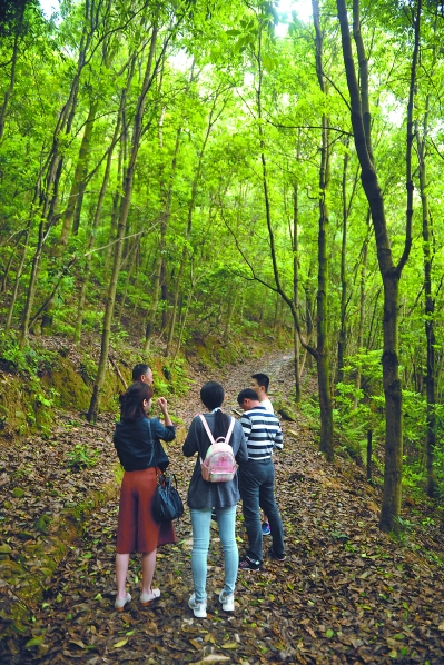 汀溪鎮(zhèn)清理了古道上堆積的淤泥。何東方 攝