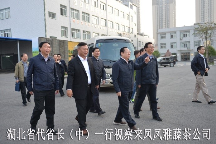 湖北代省長考察金祈藤茶&ldquo;精準(zhǔn)扶貧&rdquo;示范工作
