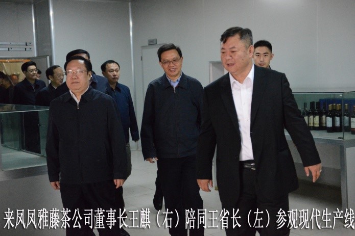 湖北代省長考察金祈藤茶&ldquo;精準(zhǔn)扶貧&rdquo;示范工作3