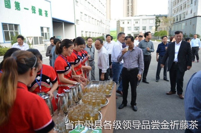湖北代省長考察金祈藤茶&ldquo;精準(zhǔn)扶貧&rdquo;示范工作2