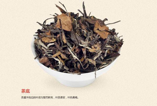 50元購買09年熟普一餅，這茶靠譜么？