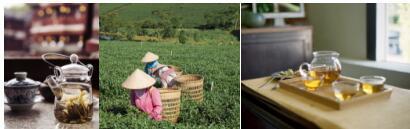 茶產(chǎn)業(yè)轉(zhuǎn)型升級(jí)風(fēng)口，茶品匯引領(lǐng)行業(yè)&ldquo;新零售&rdquo;變革