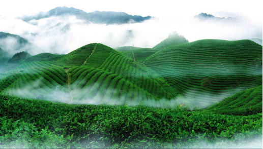 金華百度推廣_義烏百度推廣_東陽百度推廣_金華網(wǎng)站推廣_金華網(wǎng)絡(luò)推廣_金華網(wǎng)站建設(shè)_金華網(wǎng)站優(yōu)化_金華網(wǎng)絡(luò)公司_金華app開發(fā)_金華網(wǎng)站優(yōu)化_金華網(wǎng)絡(luò)營銷_金華網(wǎng)站開發(fā)_金華seo公司_金華微信朋友圈廣告_金華優(yōu)化公司_金華百度優(yōu)化_金華品牌推廣_金華百度排名_金華整合營銷_金華百度霸屏_浙江百度運營中心_金華市激石信息技術(shù)有限公司