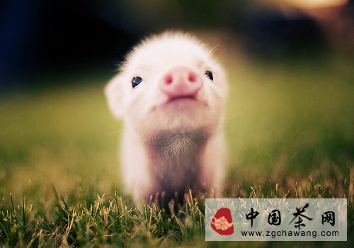 20120605103735825_970_o