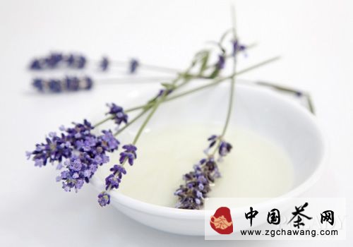 白茶的功效作用與禁忌