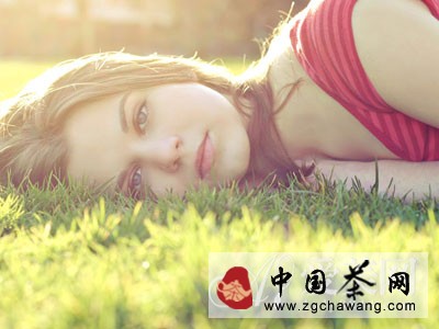  清肝明目降血壓 淡雅菊花養(yǎng)生功效強大 