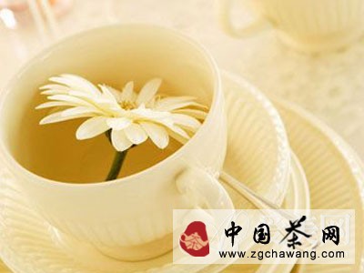  清肝明目降血壓 淡雅菊花養(yǎng)生功效強大 