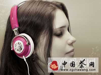  清肝明目降血壓 淡雅菊花養(yǎng)生功效強大 